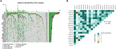 Significance of Tumor Mutation Burden Combined With Immune Infiltrates in the Progression and Prognosis of Advanced Gastric Cancer